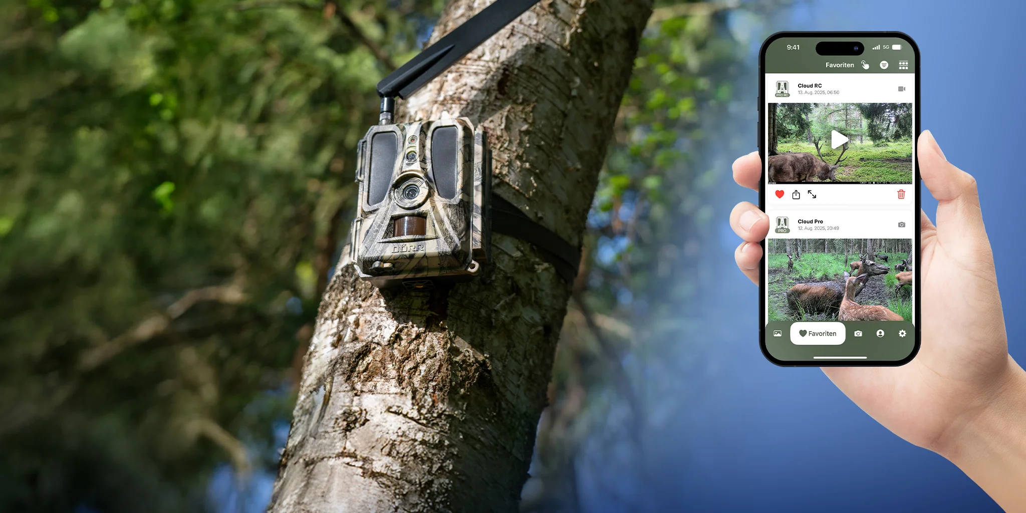 Perfektion für Natur und Fotografie